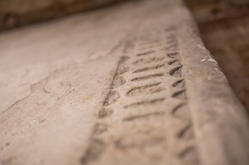 Krypty Dominikańskie w kościele św. Wojciecha przy pl. Dominikańskim