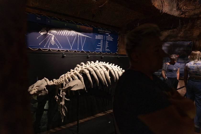 1. Nocowanie w Afrukarium, wrzesień 2024