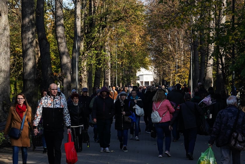 Cmentarz Osobowicki, 1 listopada 2024
