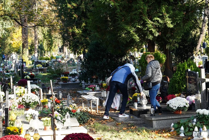 Cmentarz Osobowicki, 1 listopada 2024