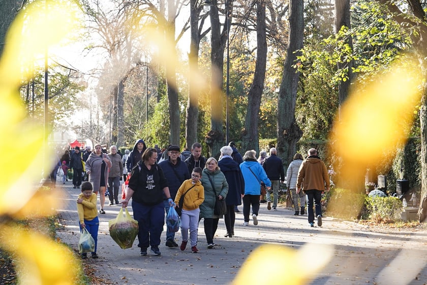 Cmentarz Osobowicki, 1 listopada 2024