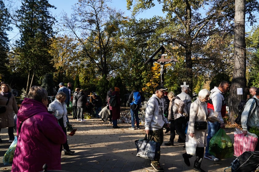 Cmentarz Osobowicki, 1 listopada 2024