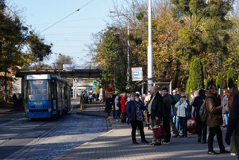 Cmentarz Osobowicki, 1 listopada 2024