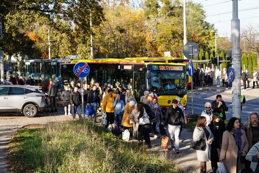 Cmentarz Osobowicki, 1 listopada 2024