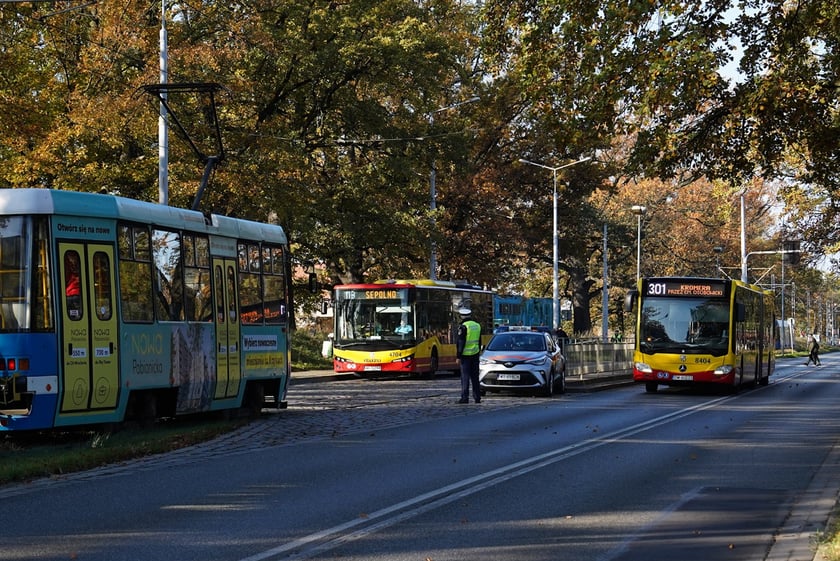 Cmentarz Osobowicki, 1 listopada 2024