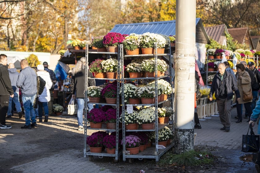 Tłumy na wrocławskich nekropoliach. Zobaczcie zdjęcia, 1 listopada 2024