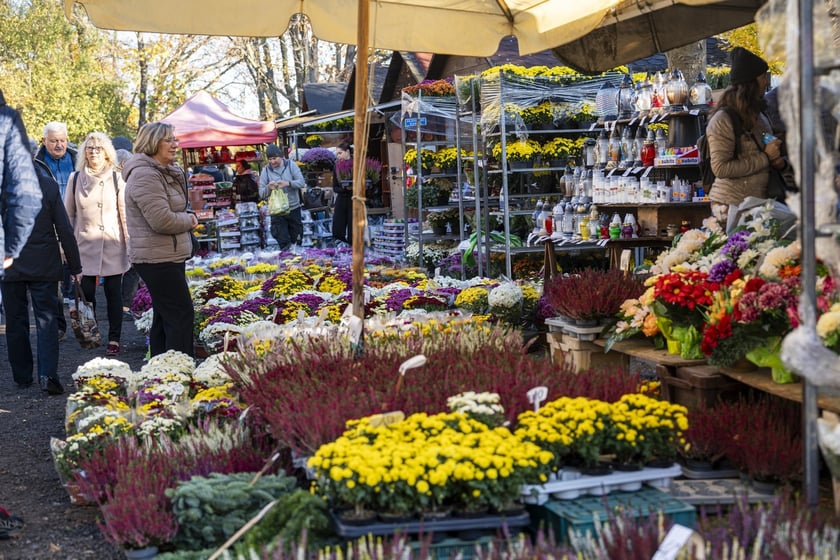 Tłumy na wrocławskich nekropoliach. Zobaczcie zdjęcia, 1 listopada 2024