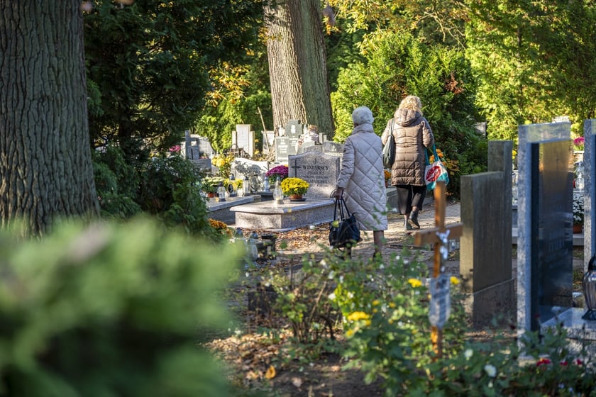Tłumy na wrocławskich nekropoliach. Zobaczcie zdjęcia, 1 listopada 2024