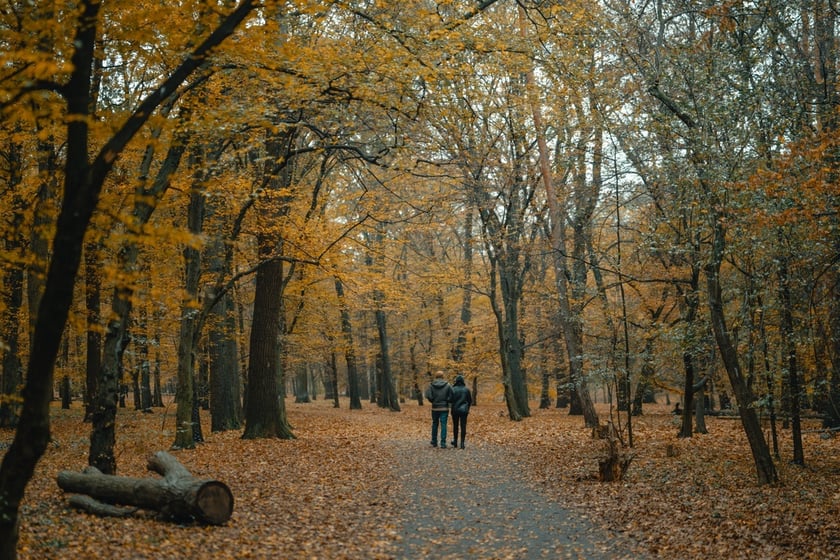 Park Zachodni we Wrocławiu