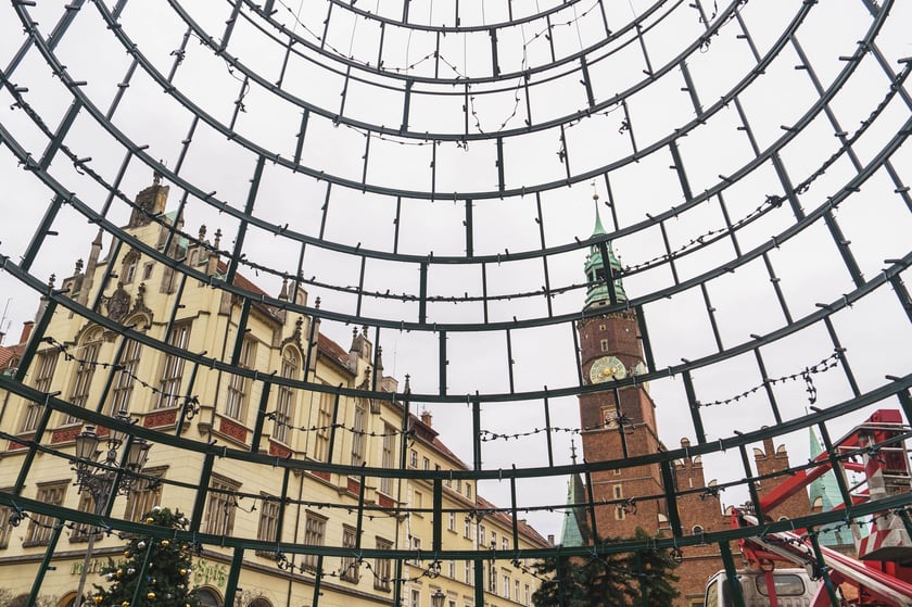 Montaż nowej choinki w Rynku we Wrocławiu - zdjęcia z 19.11.2024