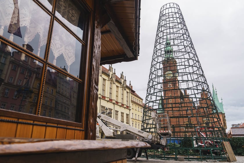 Montaż nowej choinki w Rynku we Wrocławiu - zdjęcia z 19.11.2024