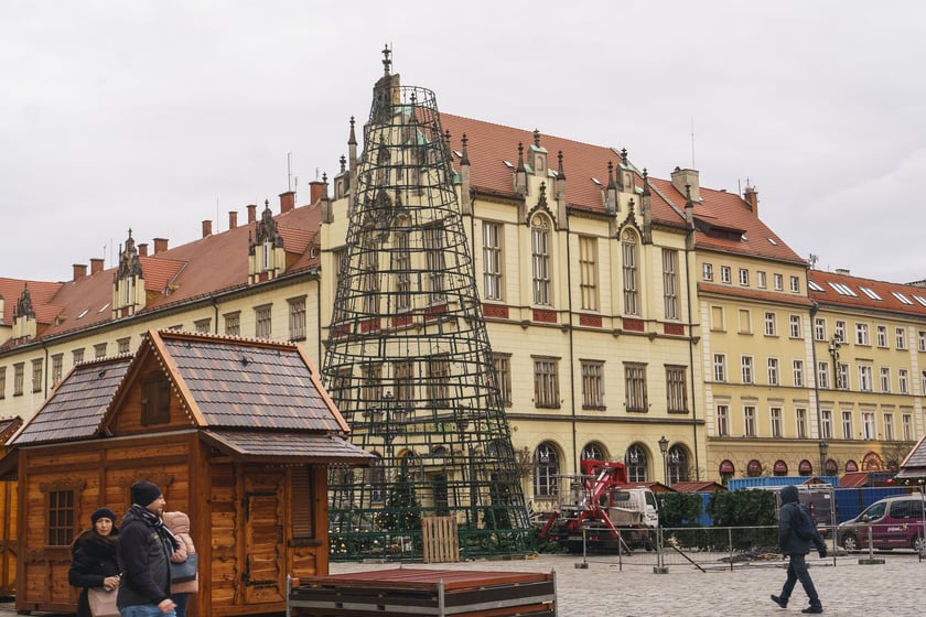 Montaż nowej choinki w Rynku we Wrocławiu - zdjęcia z 19.11.2024