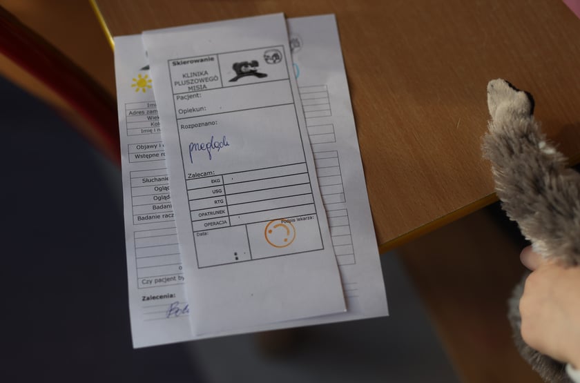 Klinika pluszowego misia w przedszkolu "Niezapominajka". Wrocław, 25.11.2024