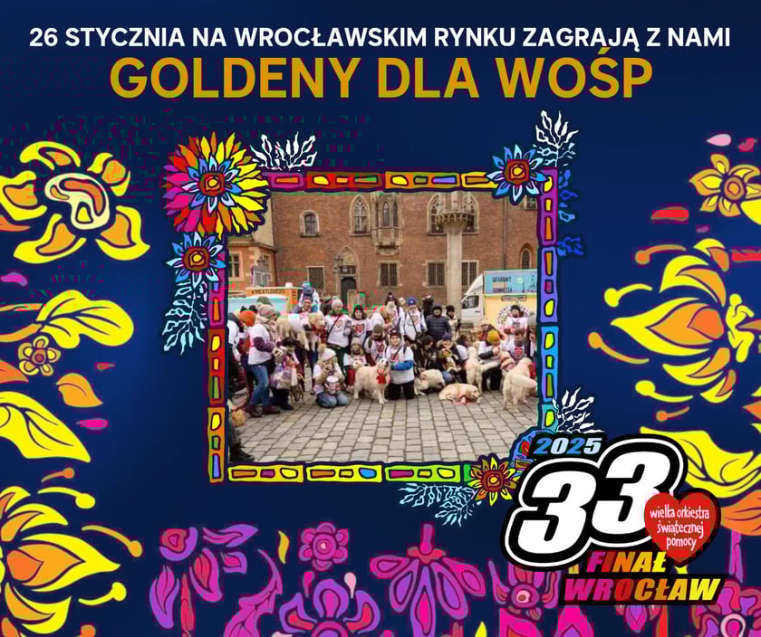 Finał WOŚP 2025 we Wrocławiu. W Rynku będą kwestować goldeny i ich opiekunowie
