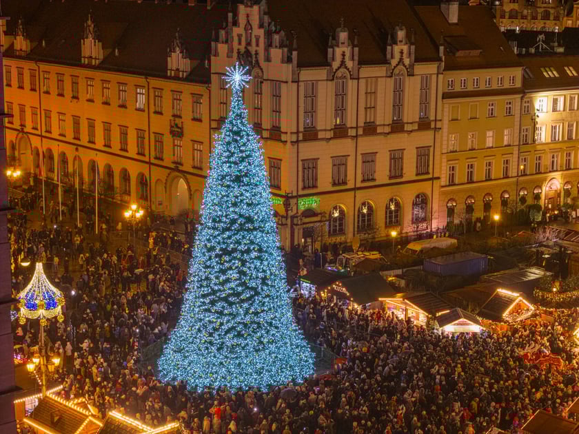 Mikołajki na wrocławskim Rynku. Mikołaj, elfy, jarmark i rozświetlona choinka