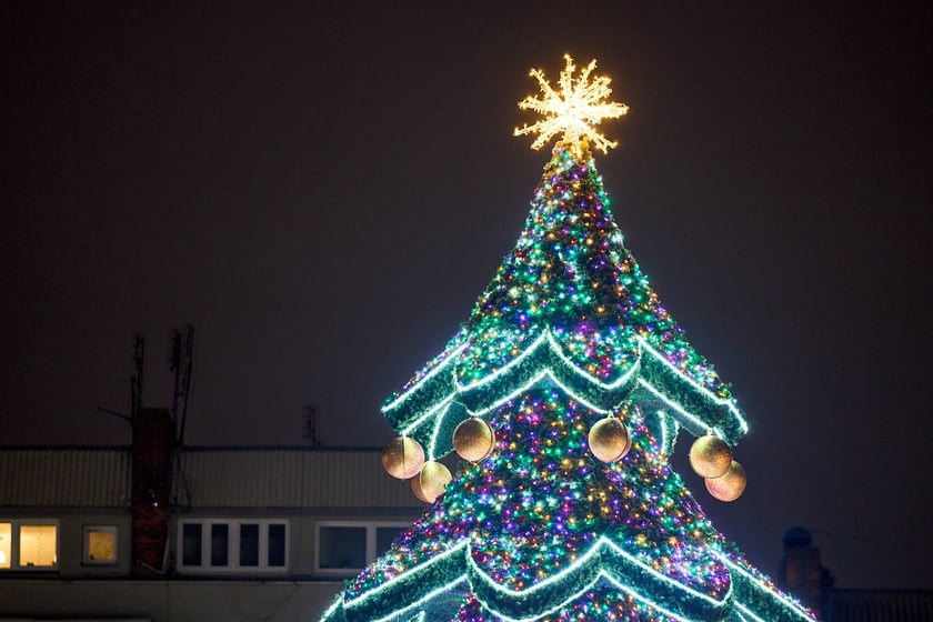 Świąteczne iluminacje i ozdoby we Wrocławiu, choinka na Nowym Targu