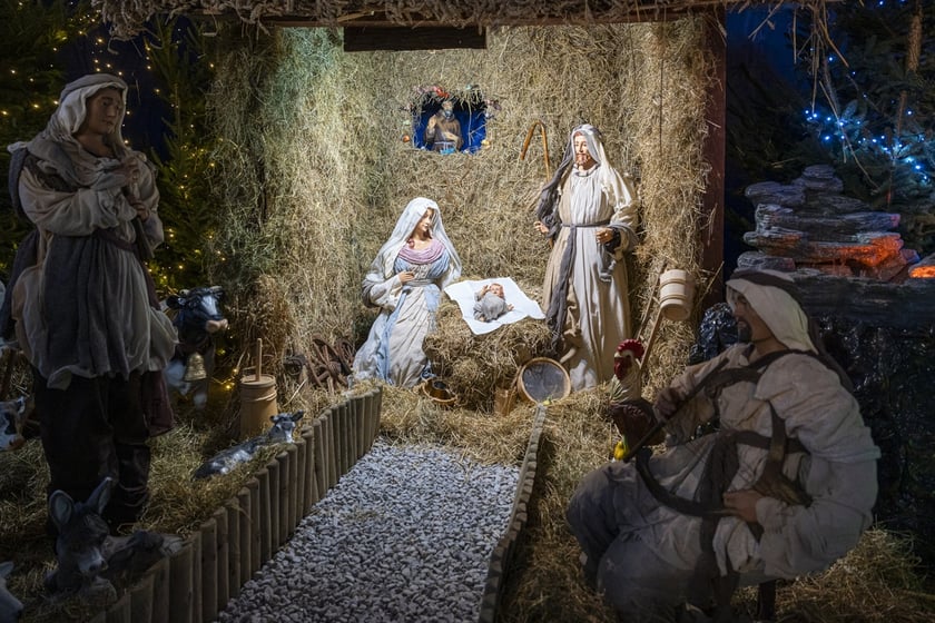 Szopka w kościele Karola Boromeusza