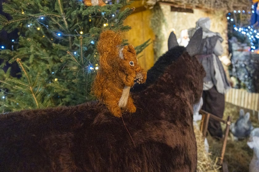 Szopka w kościele Karola Boromeusza