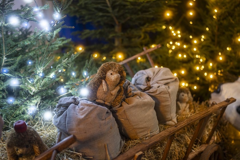 Szopka w kościele Karola Boromeusza