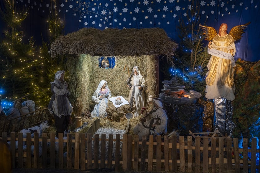 Szopka w kościele Karola Boromeusza