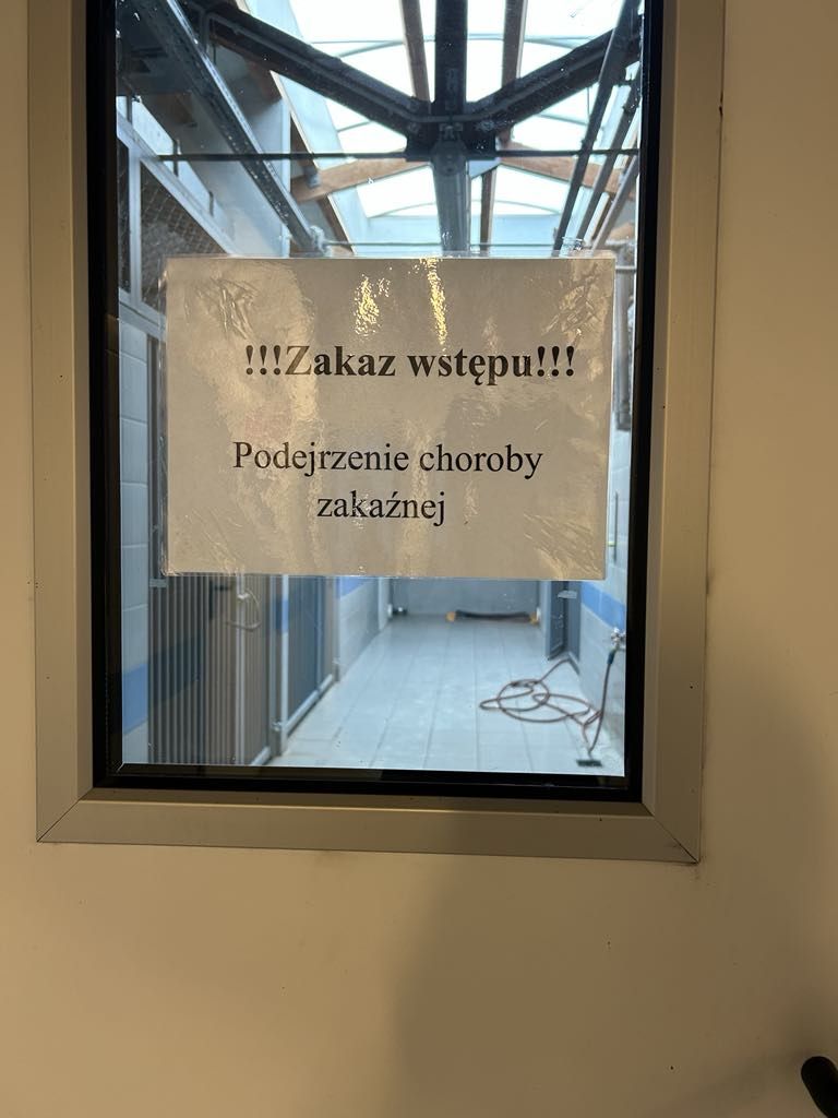 W schronisku powstał mały oddział zakażny, na czas leczenia psiak&oacute;w.