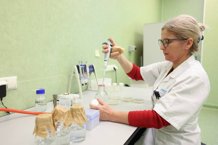 Woda we wrocławskim MPWiK przechodzi szereg chemicznych, fizycznych i mikrobiologicznych test&oacute;w.
