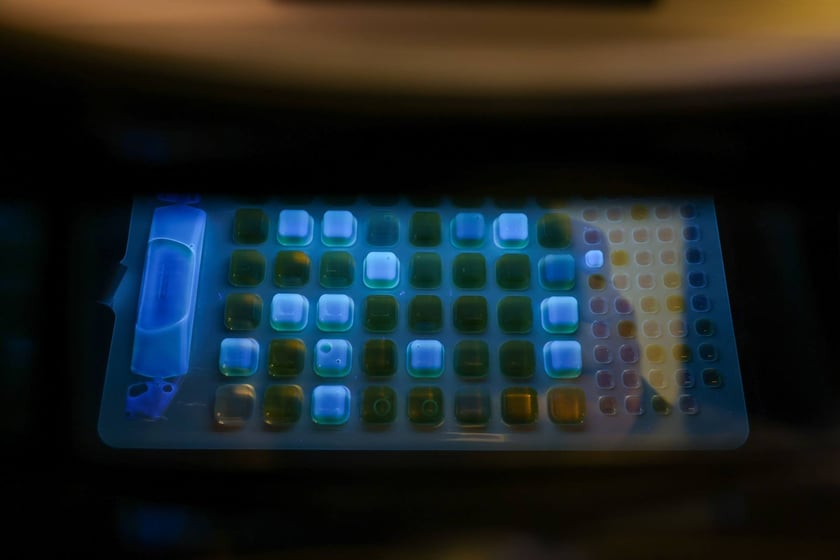 Woda we wrocławskim MPWiK przechodzi szereg chemicznych, fizycznych i mikrobiologicznych test&oacute;w.