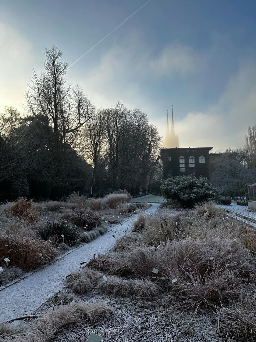 Ogr&oacute;d botaniczny w zimowej odsłonie.