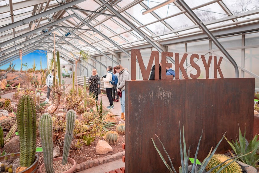 Ogród botaniczny zimą jest piękny. Na zewnątrz śnieg, a w szklarniach przenosimy się do innej strefy klimatycznej