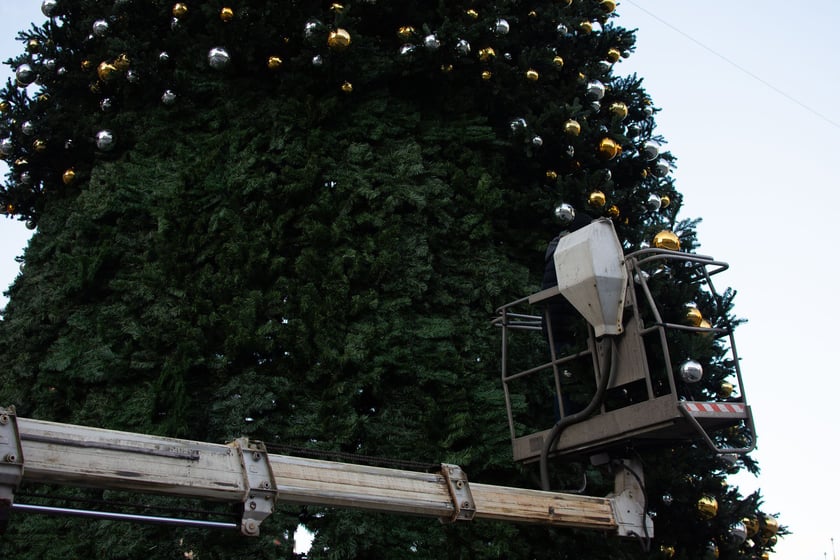 Powiększ obraz: Demontaż choinki na wrocławskim Rynku