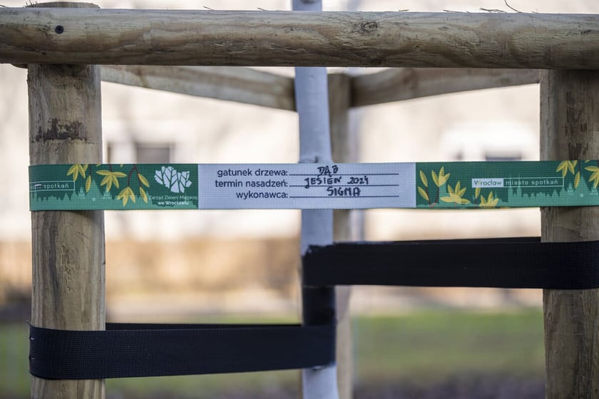 Etykieta przyczepiona do słupk&oacute;w zabezpieczających młode drzewo.