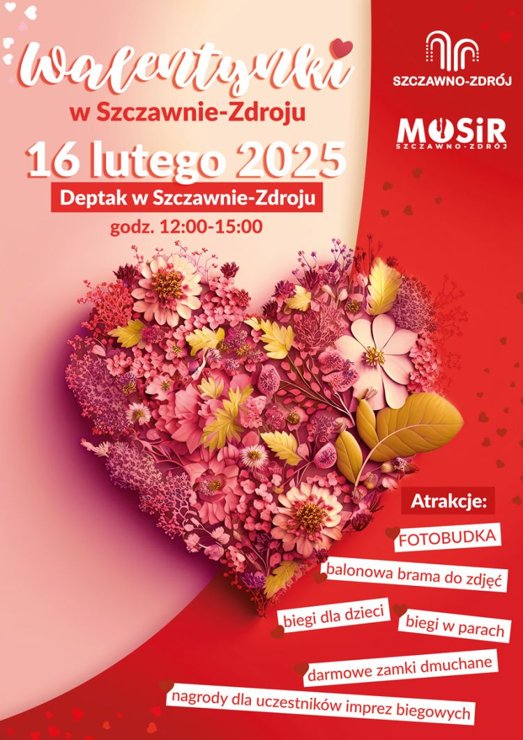 Program pikniku w Szczawnie Zdroju