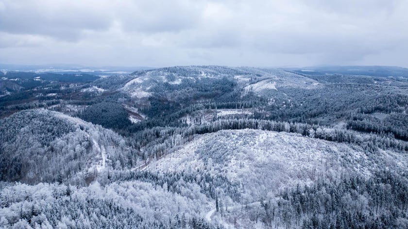 Widok z wieży widokowej na Dolnym Śląsku