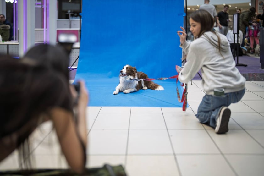 Uczestnicy Targów PupiLove w Pasażu Grunwaldzkim
