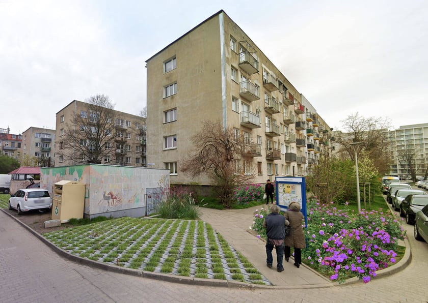 Wizualizacja zieleńca - nowe nasadzenia, m.in. róże