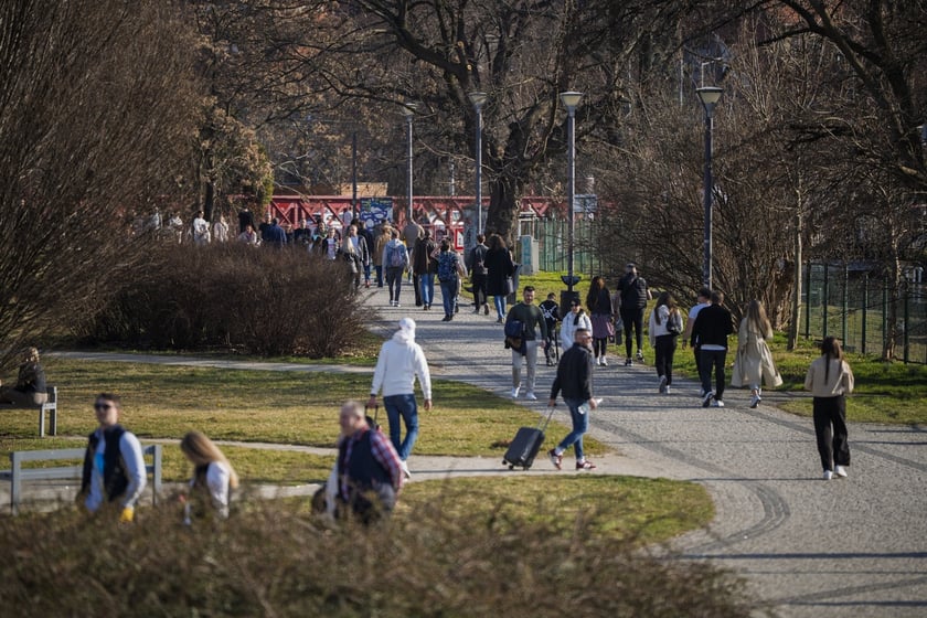 Spacerowicze we Wrocławiu