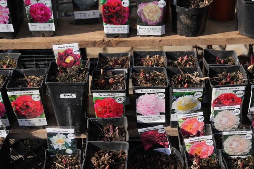 Targi Kupuj Świadomie w Czasoprzestrzeni w weekend 15-16 marca 2025