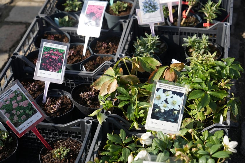 Targi Kupuj Świadomie w Czasoprzestrzeni w weekend 15-16 marca 2025