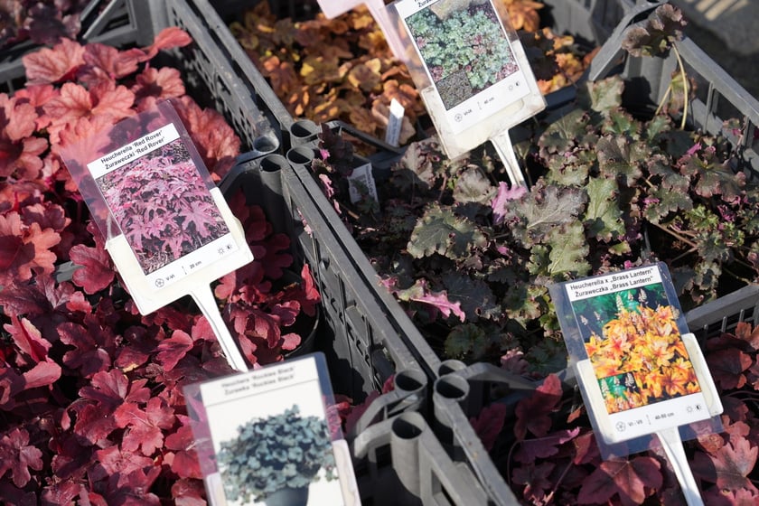 Targi Kupuj Świadomie w Czasoprzestrzeni w weekend 15-16 marca 2025