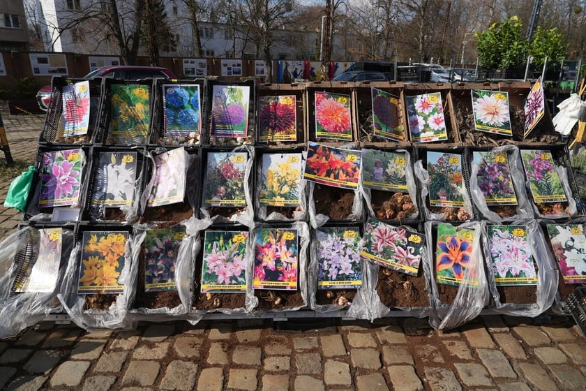 Targi Kupuj Świadomie w Czasoprzestrzeni w weekend 15-16 marca 2025