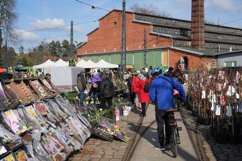 Targi Kupuj Świadomie w Czasoprzestrzeni w weekend 15-16 marca 2025