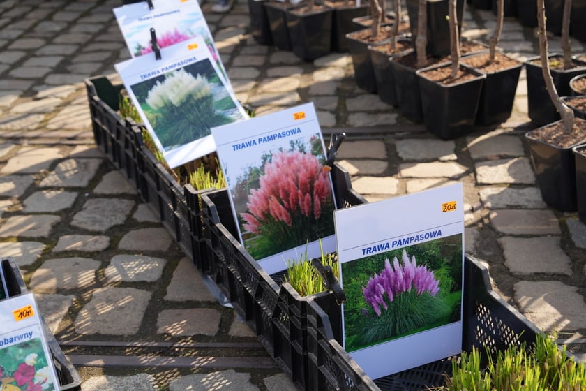 Targi Kupuj Świadomie w Czasoprzestrzeni w weekend 15-16 marca 2025