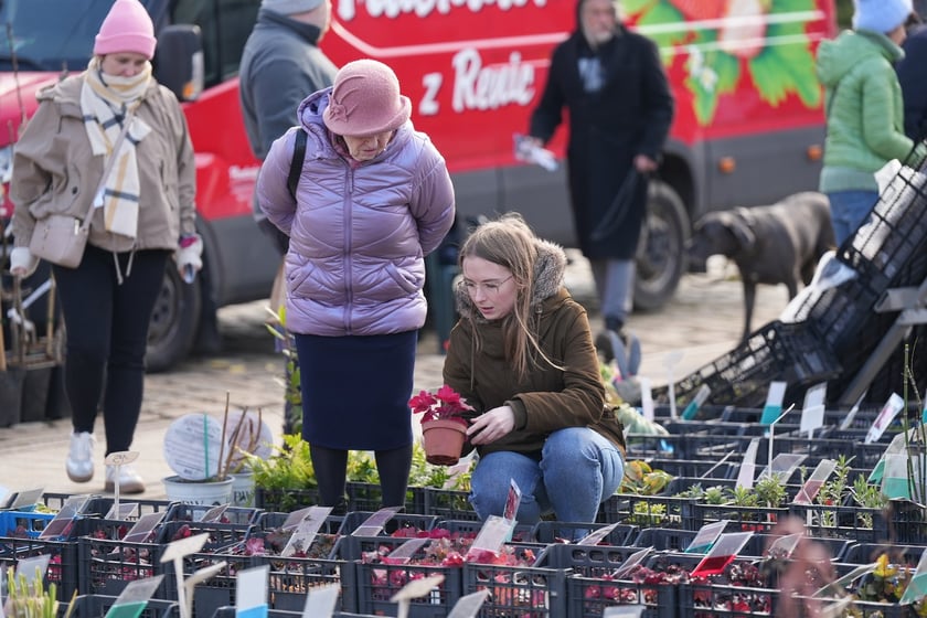 Targi Kupuj Świadomie w Czasoprzestrzeni w weekend 15-16 marca 2025