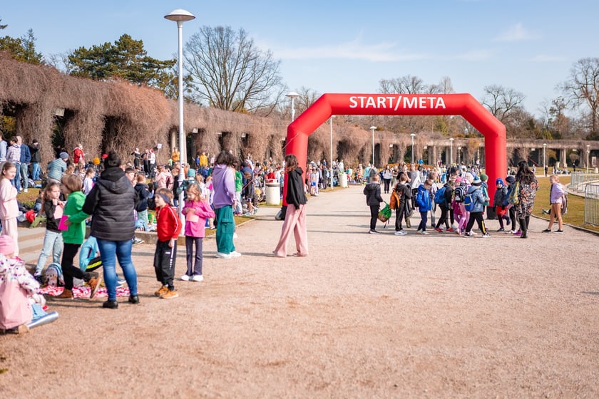 Wrocławski Bieg Sponsorowany 2025 wokół Pergoli