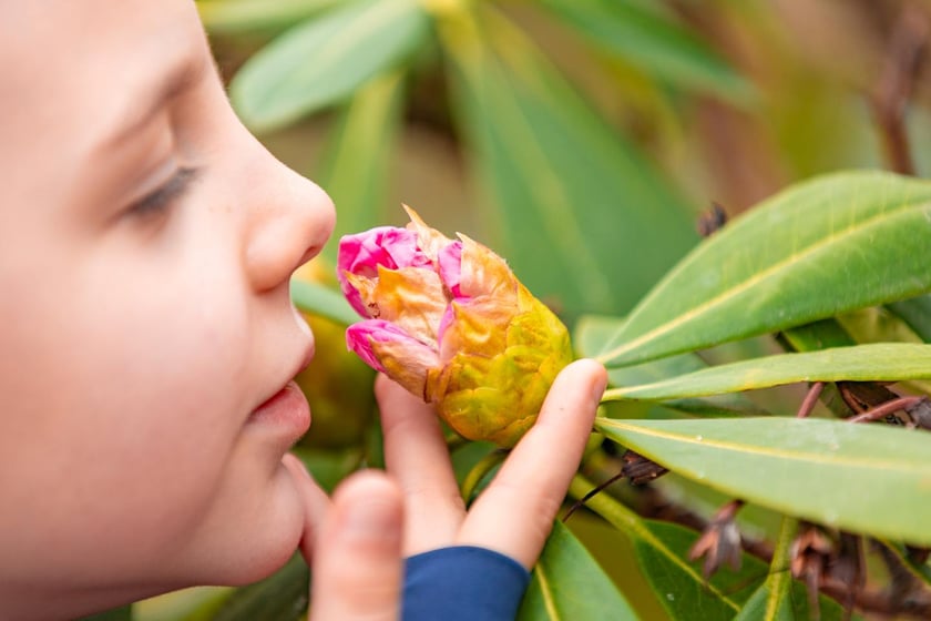 Ogr&oacute;d Botaniczny się zazielenia