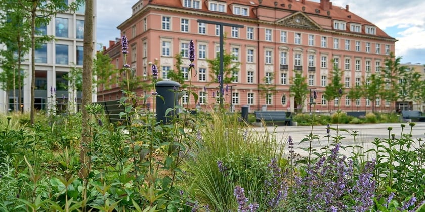 
58,9 tys zł - Miesięczne utrzymanie parku Południowego
96 tys. zł - Miesięczne utrzymanie Ogrodu Japońskiego
4,9 tys. zł - Roczne utrzymanie placu zabaw
1 mln zł - Budowa małego placu zabaw (do 200 mkw.)
1,9 tys. zł - Średni koszt skoszenia 1 ha trawy
2,8 tys. zł - Nasadzenie i trzyletnia pielęgnacja drzewa
7 tys. zł - Zakup i montaż ławki parkowej oraz ławki w przestrzeni miejskiej
5 tys. zł - Zakup i montaż kosza na śmieci w parku
36 zł - Dzienne utrzymanie czworonoga (psa, kota) w schronisku
6 135 623,18 zł - Roczne utrzymanie schroniska dla zwierząt
