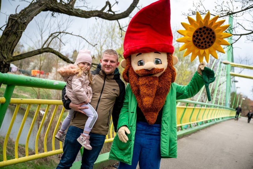 Odsłonięcie figurki krasnala Raciworka przy Kładce Złotnickiej