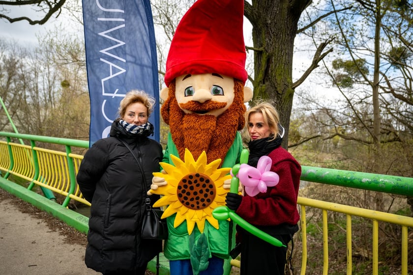 Odsłonięcie figurki krasnala Raciworka przy Kładce Złotnickiej