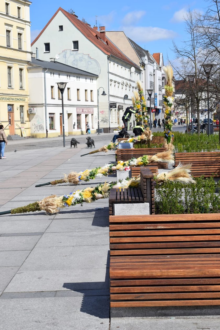 Palmy na Rynku Psiego Pola to już tradycja