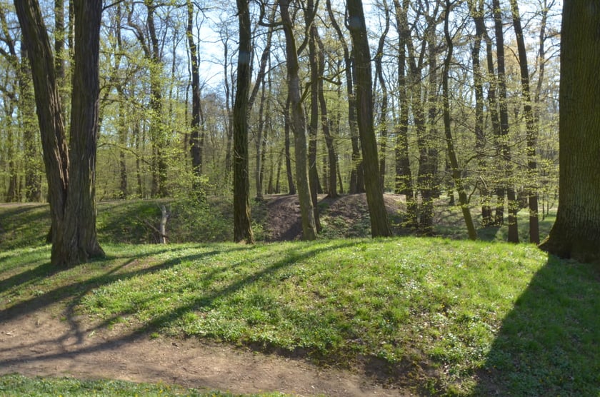 Gr&oacute;dek typu motte Złotniki Małe w parku Złotnickim